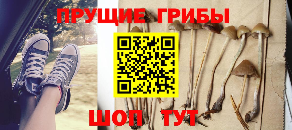 Галлюциногенные грибы Cubensis  Галлюциногенные грибы GOLDEN TEACHER  Наро-Фоминск  Вход с VPN 