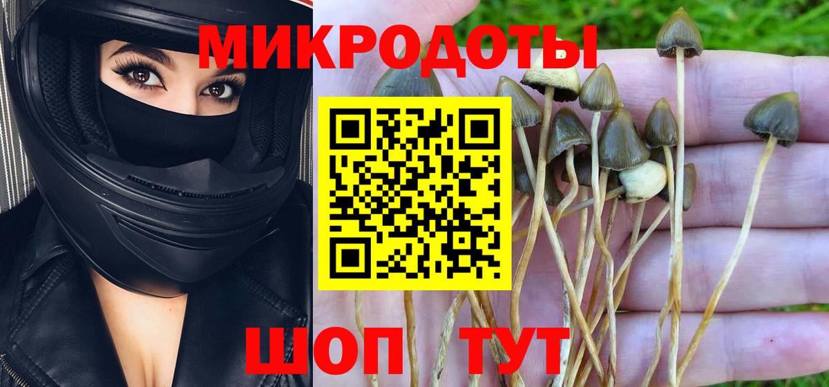 Галлюциногенные грибы Psilocybine cubensis Наро-Фоминск